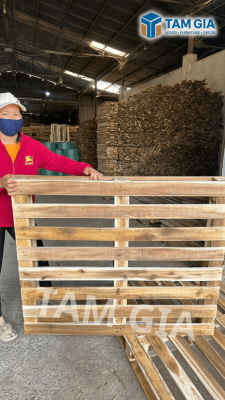 Thiết kế chưa có tên (1)